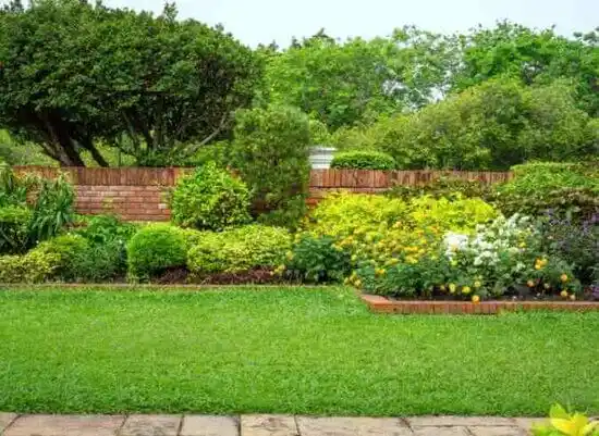 landscaping services Ackerman